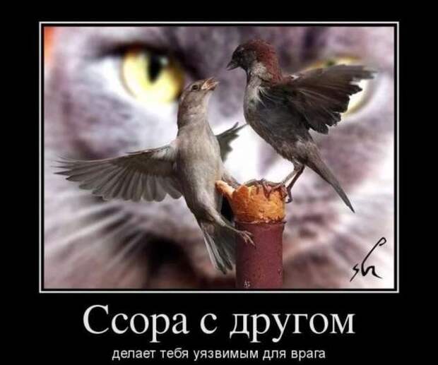 Прикольные демотиваторы с надписями. Подборка chert-poberi-dem-chert-poberi-dem-30580603092020-18 картинка chert-poberi-dem-30580603092020-18