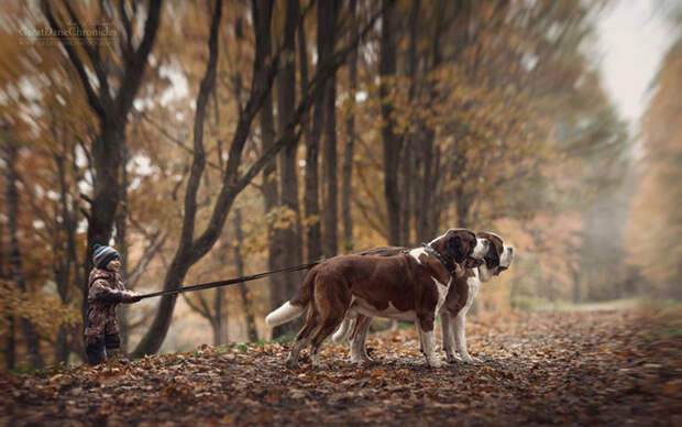 Проект Little Kids and Their Big Dogs. Фото: Andy Seliverstoff. Проект Little Kids and Their Big Dogs. Фото: Andy Seliverstoff.