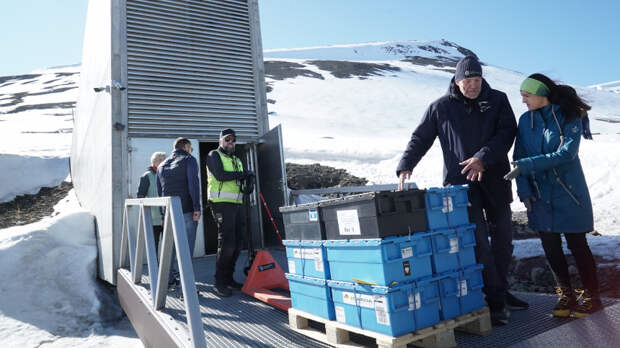 Запасной план для жизни: ученые хотят создать «Ноев ковчег» для вымирающих животных