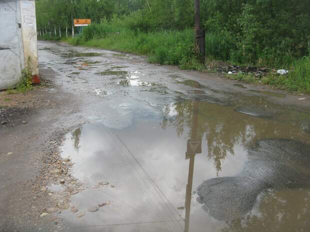 В Новгородской области дороги приведут в порядок: потребуется два года