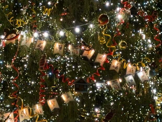 На цветочную лавку на Петроградке написали жалобу из-за гирлянды из бубликов