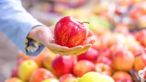 Как определить качество яблок без разрезания: лайфхаки, зная которые вы не купите плохие или невкусные плоды