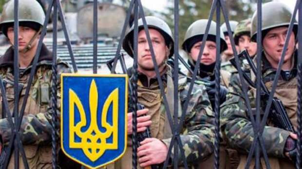 На Украине новая волна «могилизации»: гребут всех — от больных до женщин (ВИДЕО) | Русская весна