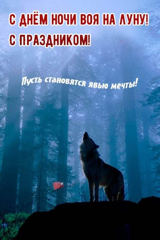 Веселые открытки в День и ночь воя на луну, 26 октября