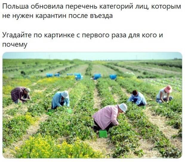 Политические комментарии из инета