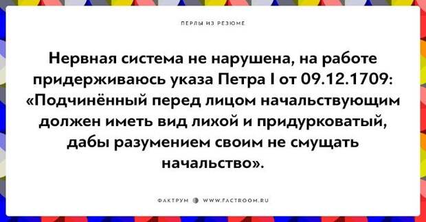 20 незабываемых перлов из резюме оригинальных людей 20 незабываемых перлов из резюме оригинальных людей