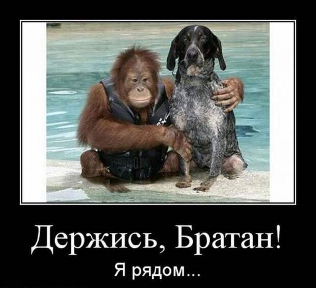 Подборка классных демотиваторов № 100
