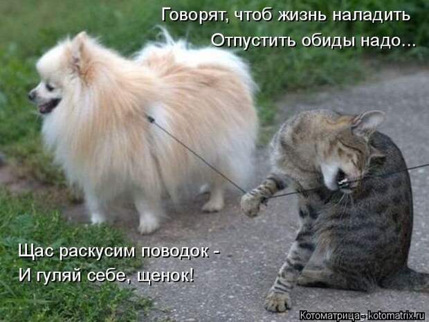 Говорят, чтоб жизнь наладить, отпустить обиды надо...