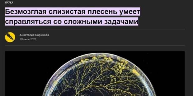 Странные и смешные заголовки в СМИ
