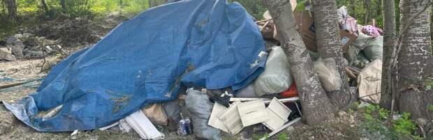 73 тысячи тенге штрафа заплатит алматинка за свалку строительного мусора