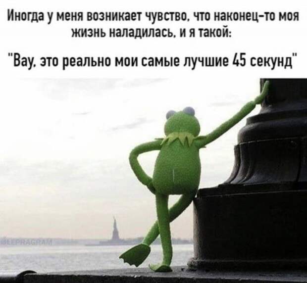 Шутки и мемы