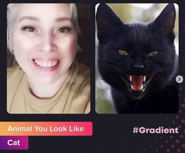 Animal you look like