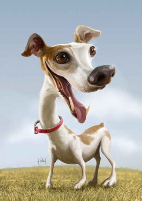 Собака. Автор: Tiago Hoisel. Собака. Автор: Tiago Hoisel.