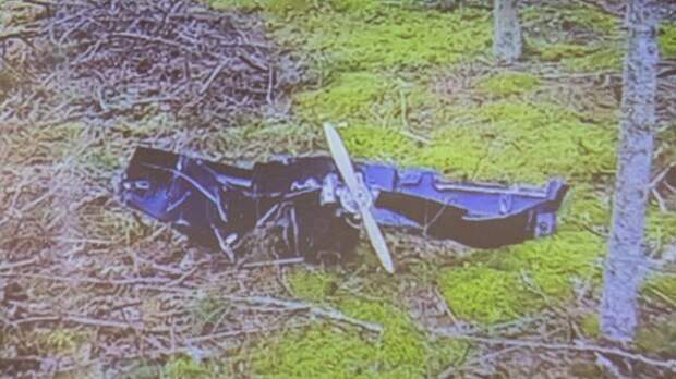 Птицы виноваты. Как Финляндия оправдывается за инцидент с украинскими беспилотниками