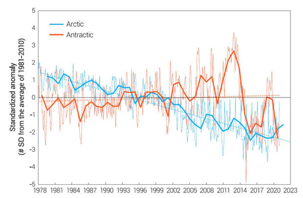 Рис. 9. Аномалии площади морского льда в Арктике и Антарктике