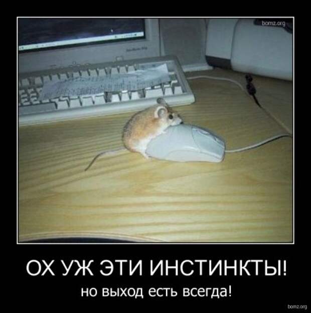 Прикольные демотиваторы для поднятия настроения!