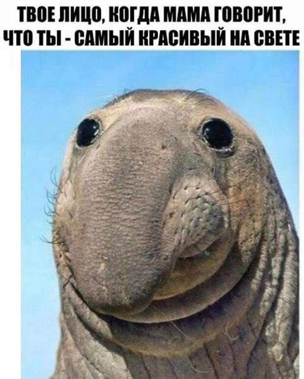 Юмор и психология