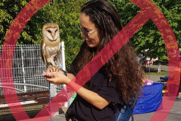 Певица Виктория Дайнеко назвала ошибкой свою уличную фотосессию с совой