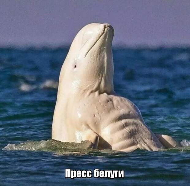Подборка картинок. Вечерний выпуск (22 фото)