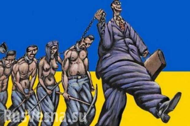 Украина делает заметный поворот  | Русская весна