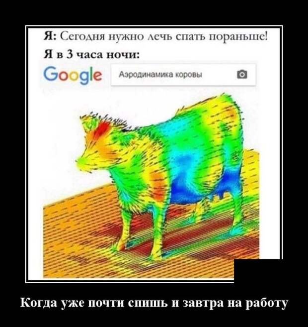 Демотиватор про аэродинамику коровы