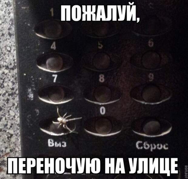 Всяко - разно 49 ))) Всяко - разно 49 )))