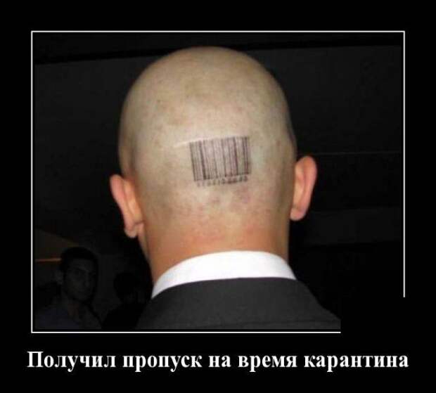 demotivatory-demotivator-smeshnye-demotivatory-demotivator-so-smyslom