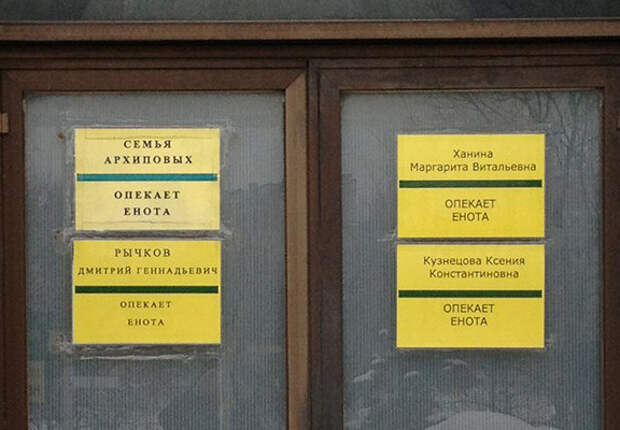 Подборка разных приколов