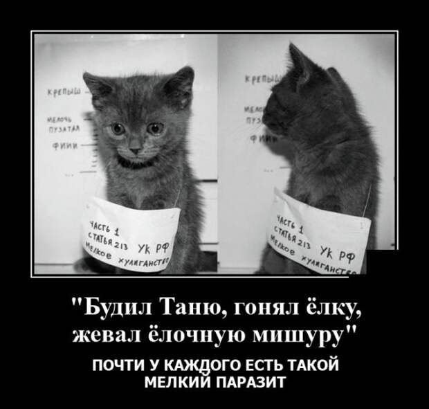 Демотиваторы 5 января 2022 года