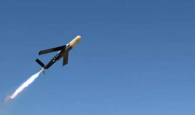 Дрон-истребитель Coyote может сбить целый рой беспилотников одним электромагнитным импульсом