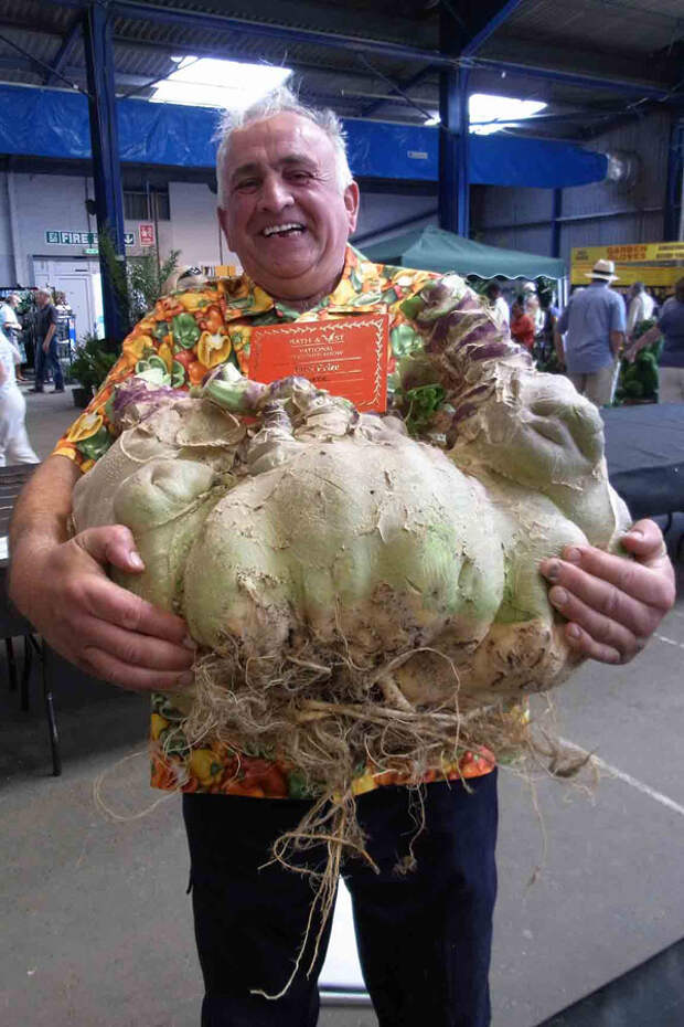 veggies06 7 гигантских овощей рекордсменов