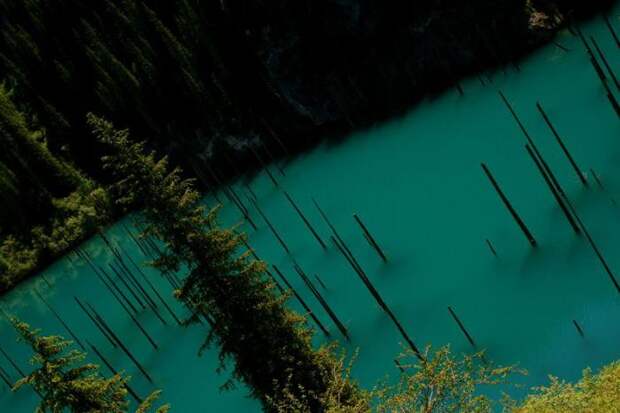 Затопленный лес озера Каинды, Кайнды, (Lake Kaindy), Казахстан