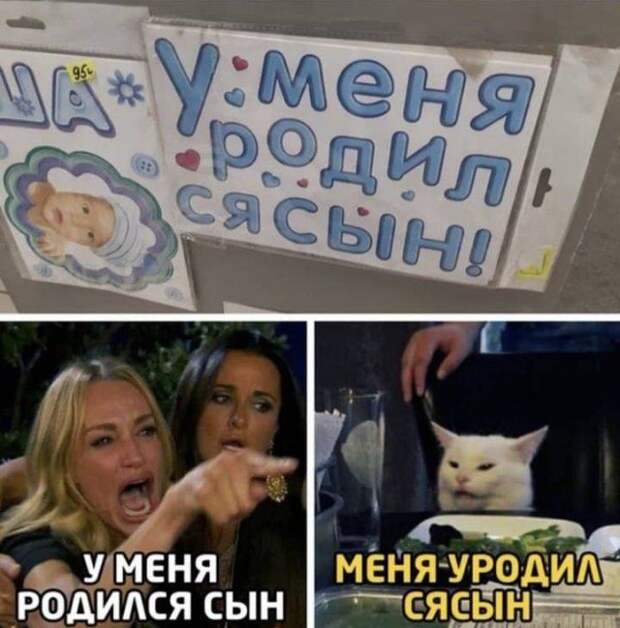 seti-memy-shutki-citaty-vkontakte-vkontakte-smeshnye-statusy