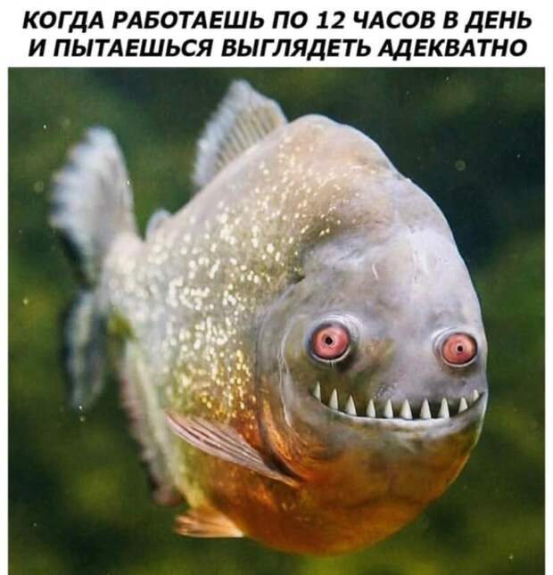 www.vsyako.net