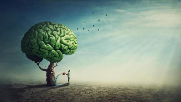 11 повседневных действий, которые незаметно разрушают наш мозг