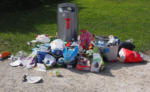 Жительница Севастополя украла мусорный контейнер 