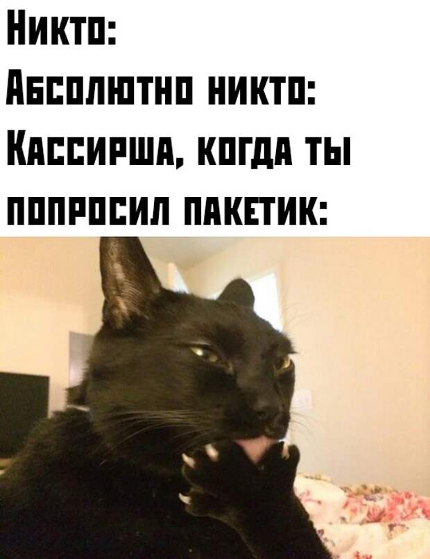 www.vsyako.net