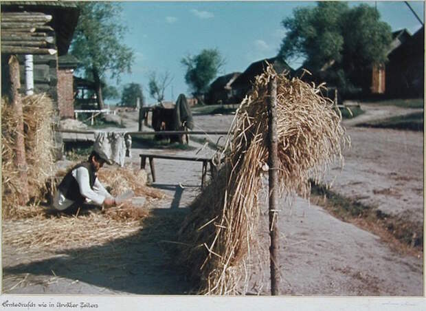 Немецкие фотографии русской деревни 1942-1943 гг. Фотограф Асимус Реммер война, классики фотографии, россия