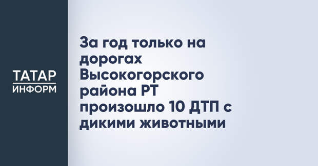 За год только на дорогах Высокогорского района РТ произошло 10 ДТП с дикими животными