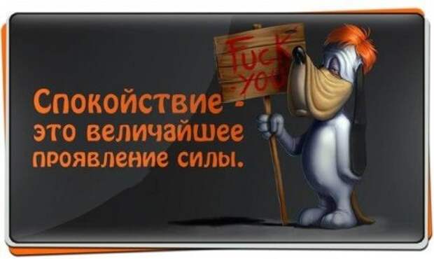 Позитив так и прет...