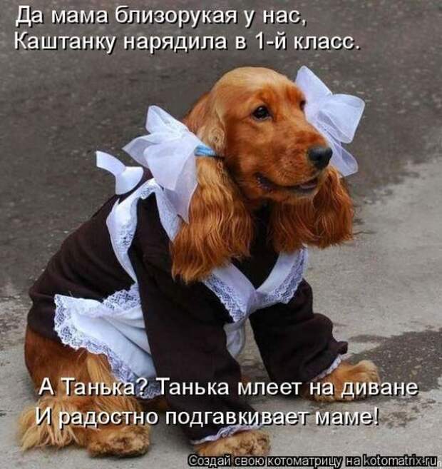 Мысли вслух :)