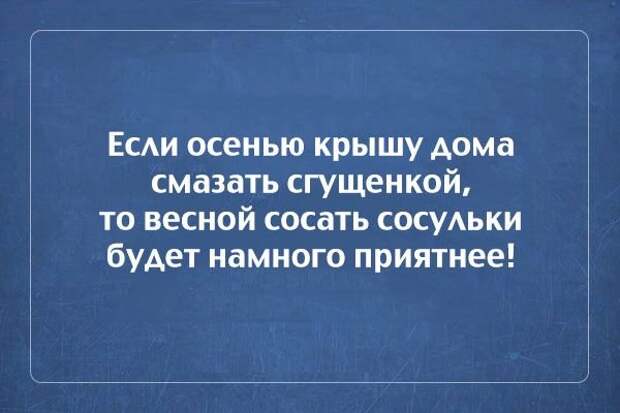 atkrytok-osennih-kartinki-smeshnye-kartinki-fotoprikoly atkrytok-osennih-kartinki-smeshnye-kartinki-fotoprikoly