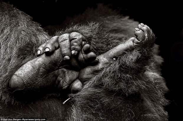 Победители конкурса Travel Photographer Of The Year 2013 trvlphtgrphr11 Победители конкурса Travel Photographer Of The Year 2013