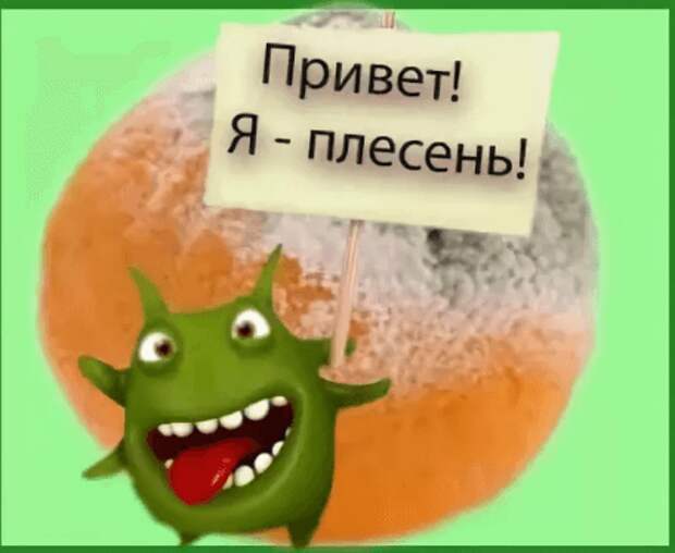 Плесень прикольные картинки