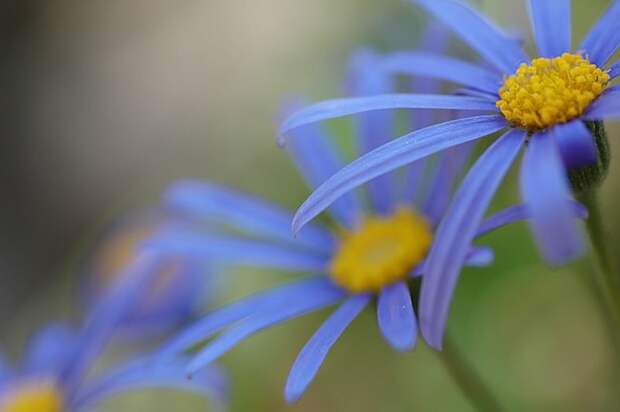 Есть только миг между прошлым и будущем... Есть только миг между прошлым и будущем...