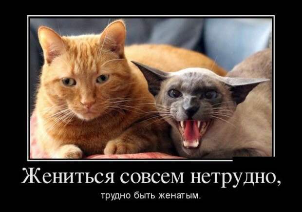 Демотиваторы (30 фото)