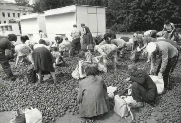 10. Раздача бесплатной гнилой картошки. Москва, 1993 год 10. Раздача бесплатной гнилой картошки. Москва, 1993 год