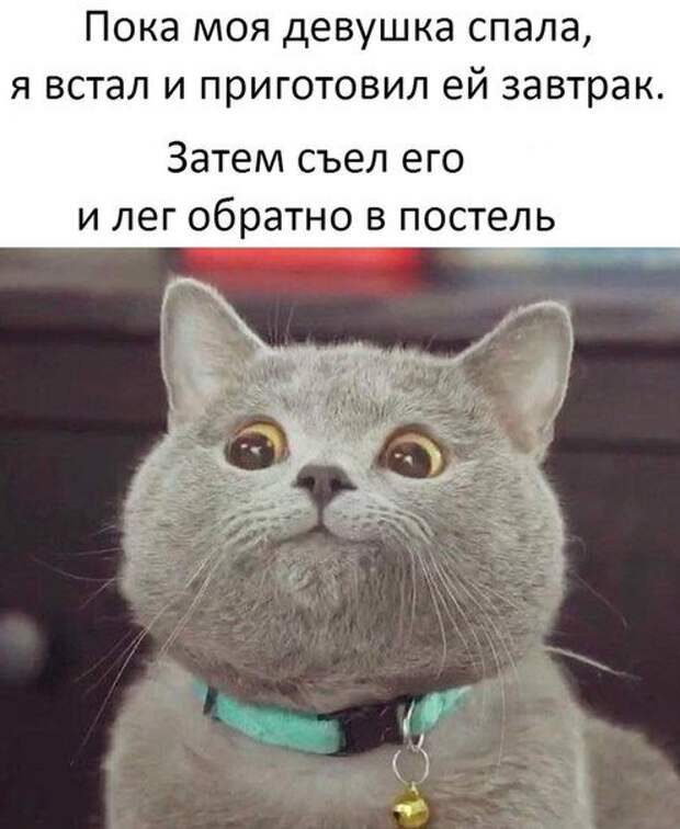 Новые фотомемы на Бугаге (23 шт)