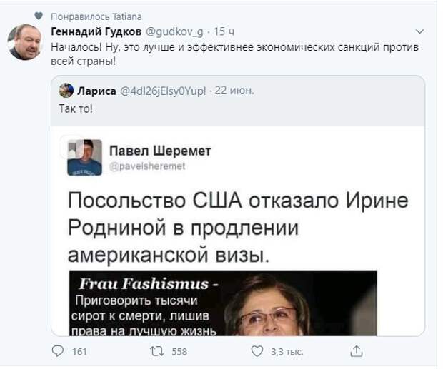 Политические картинки