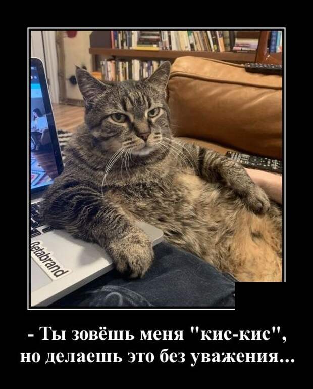 Демотиваторы 22 сентября 2021 года